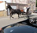 De namiddagrit verkennen we het Pajottenland en de Vlaamse Ardennen, met de Hellingen en Kasseistroken uit de Ronde van Vlaanderen (46)